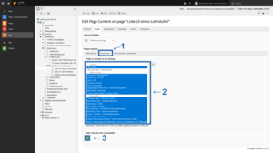 Screenshot: Plugin Options / Single view